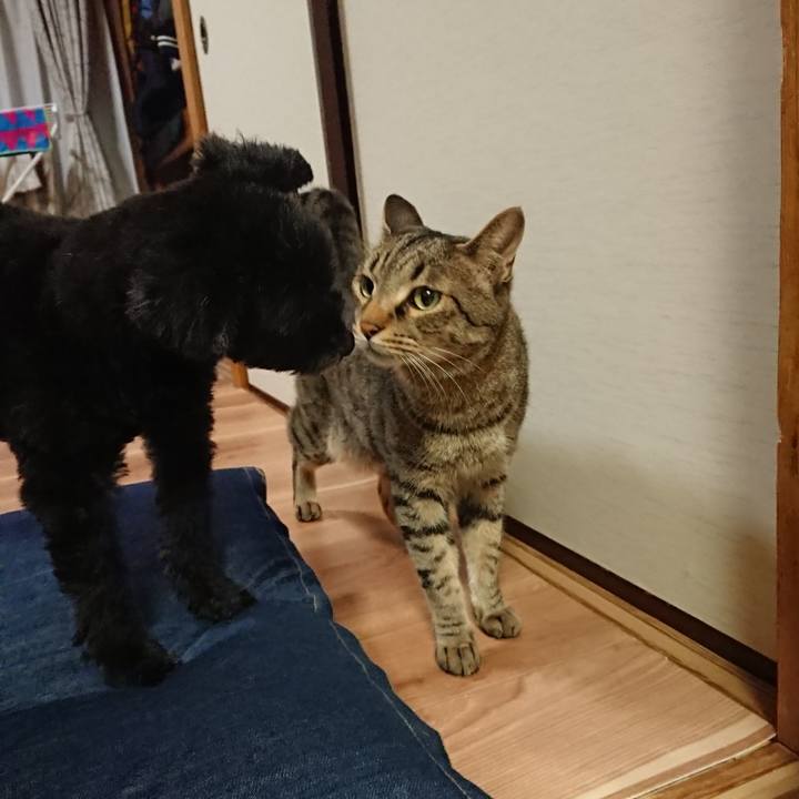 63861cd2 9f2e 47b2 a49c 6a5b06f9723e 1559829341060