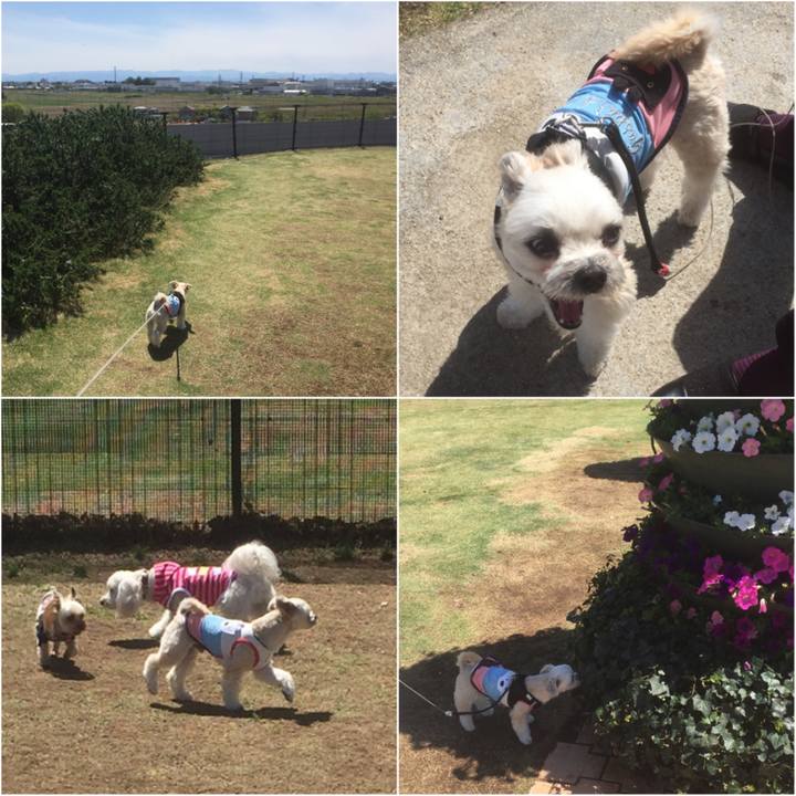 63863bda 9ec7 4606 8743 d3b3377aff00 1556602942135