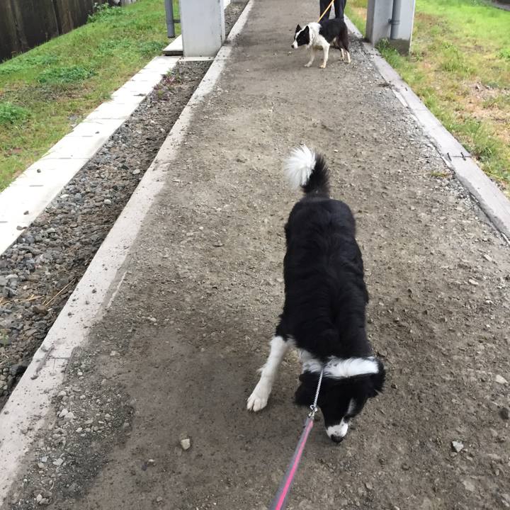 63863dce 01d7 4938 bab9 006d81b15e65 1543793793424