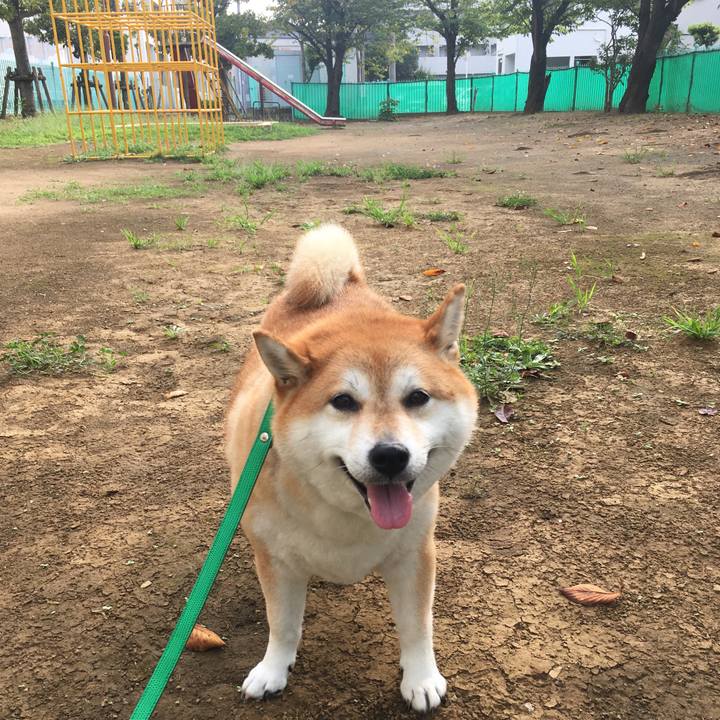 63864817 35f9 473d 9741 40c429e3ffda 1600298988865