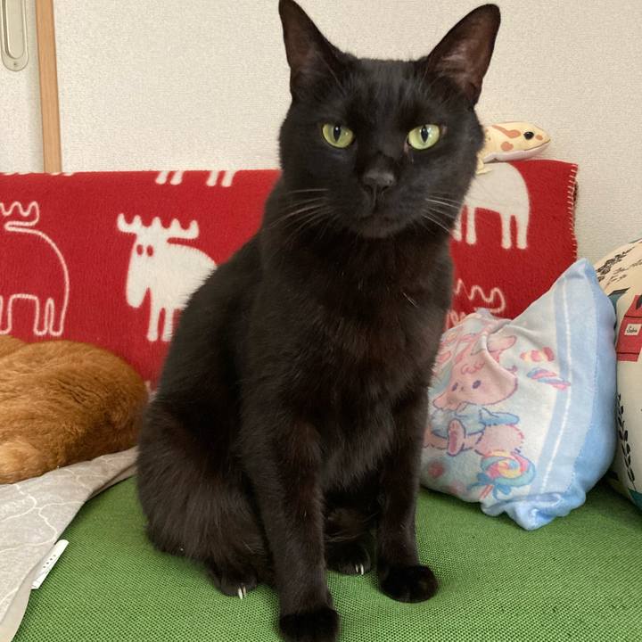 63866021 5719 4d9b afe7 174921505192 1757987648312