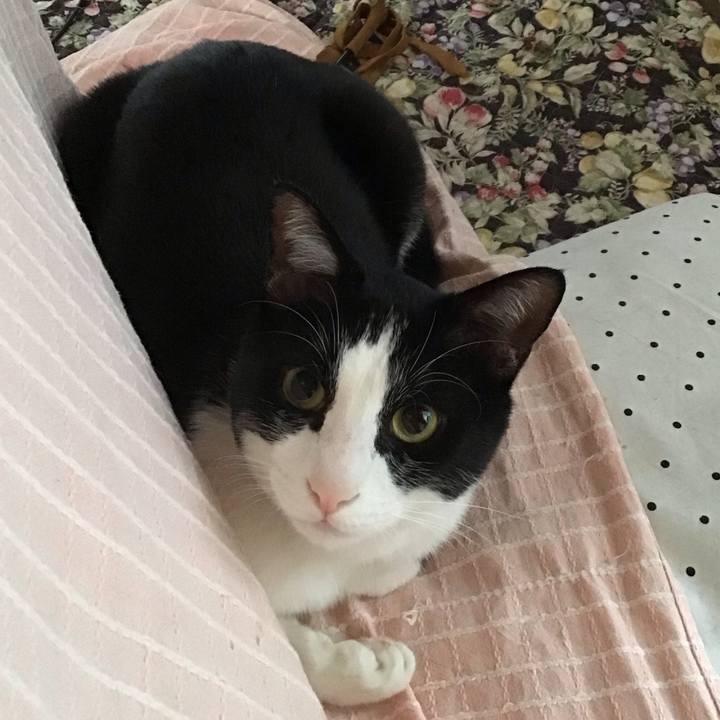 6386626e eec9 44ba a900 e00329b0a186 1684118639581