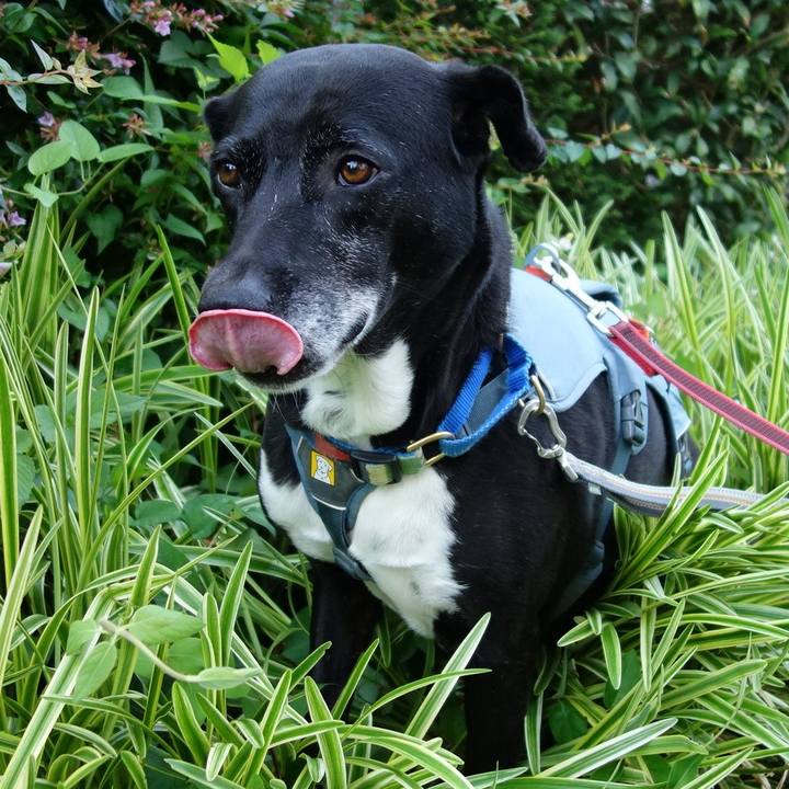 63868985 526d 49b0 8278 a1206827196b 1718153107157