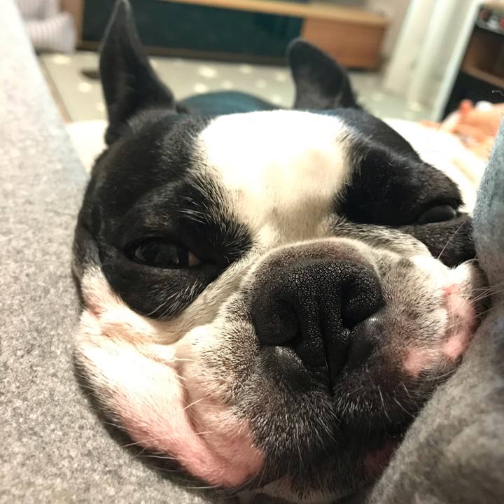 6386997b 4a3b 4b31 b874 a19f71836dad 1602752550382