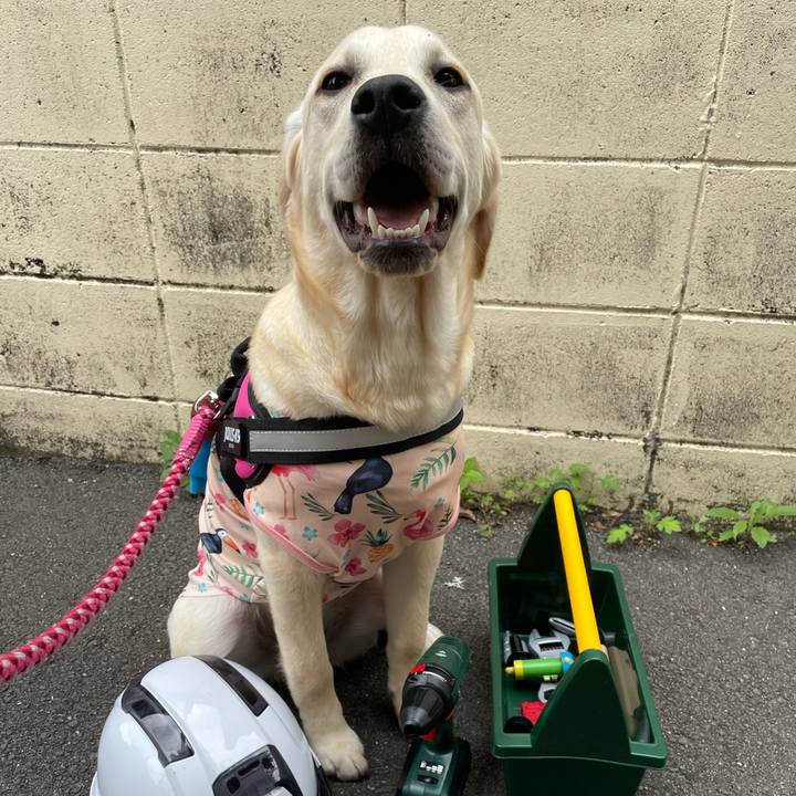 6386a6d5 26eb 419a a18d 05ba7060c8ca 1622633996948