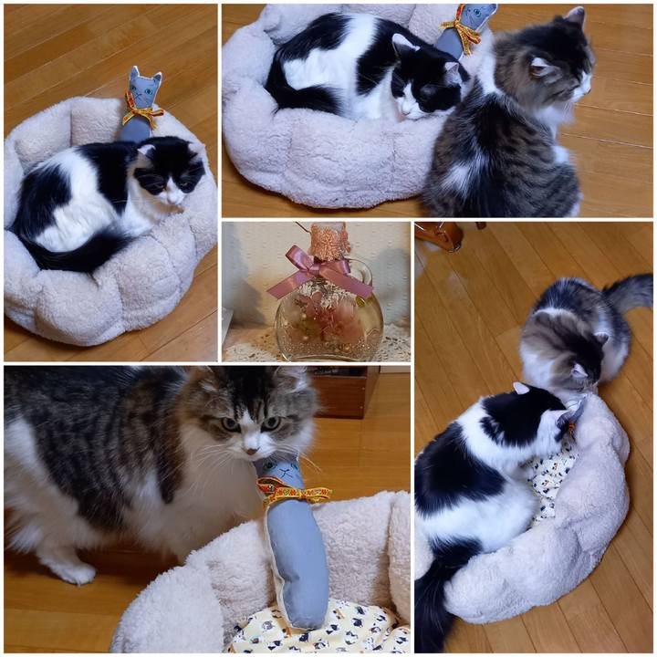 6386ec56 b4b4 447f 920f 82b3a0bda705 1639913566355