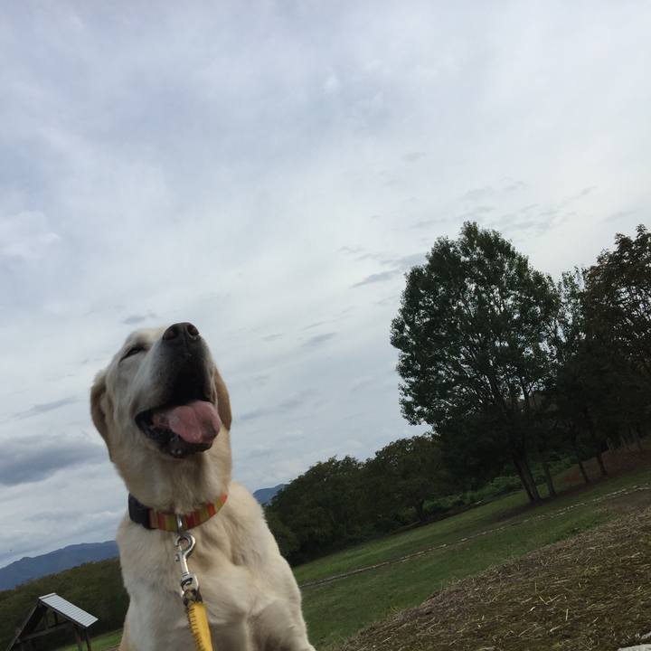 638796d0 5805 4a3e ae00 67dfcf0b87dd 1569673990713