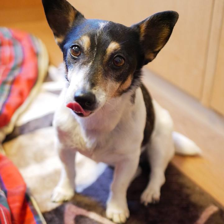 63879e9b 7465 486e 9305 5df92f07efa8 1555153096394