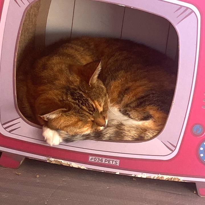 6387b4d2 cb8d 4707 b81b 1fd710efcd25 1672540073116