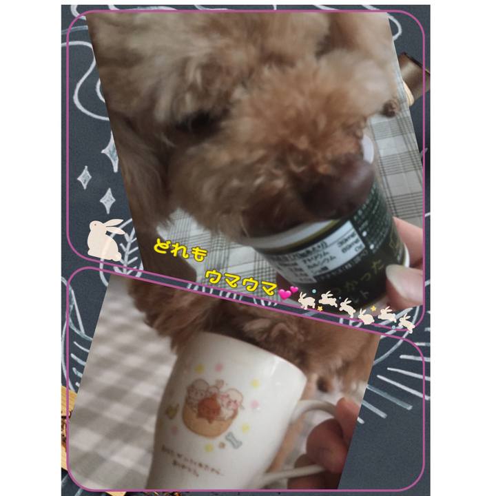 6387d3bf ff5d 4220 83d5 65266e9d62b7 1537306940988