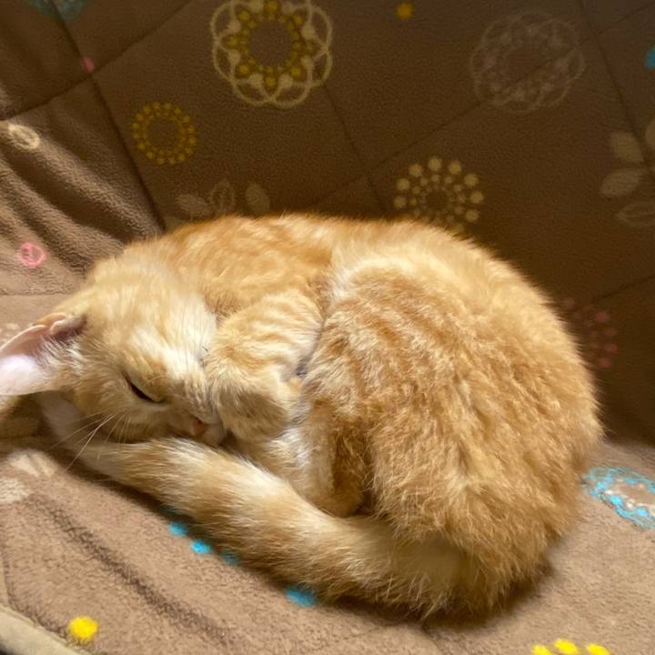 6387dd0a 009a 45b9 9db3 5bc79f63acf3 1606414468461