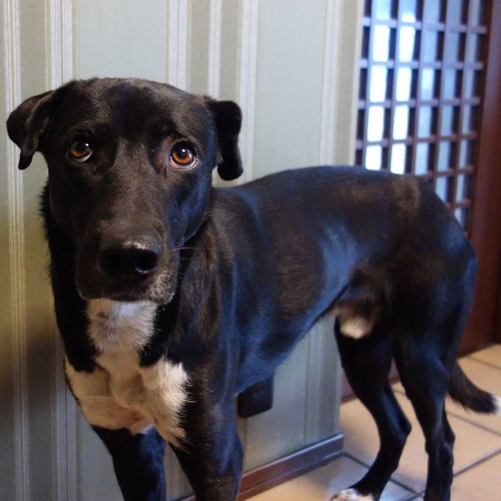 6387de81 afe3 4daf 8bfd d599caf3e067 1666177417459