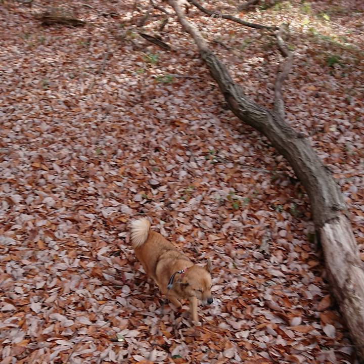 6387ee16 b59a 4119 aae2 83faaf6e9069 1606047202015