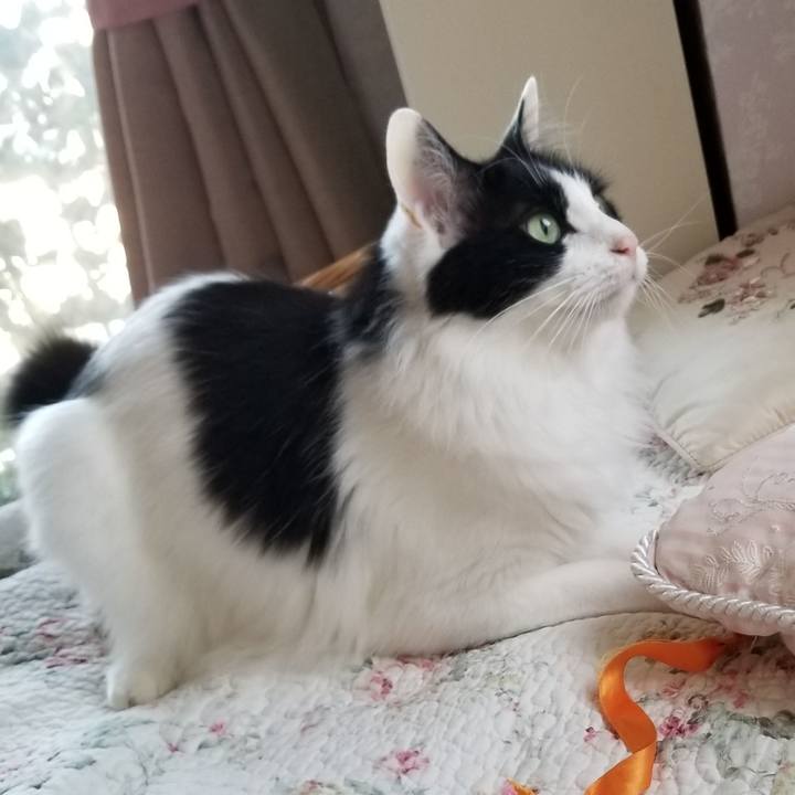 63884878 6638 4a13 8c7c 42b4284a3b11 1558043650380