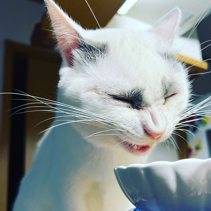 638857aa b228 431f 966e b04816f8dc37 1636880563028