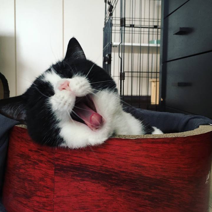 6388a3b9 0b89 47e3 97e2 d4f060e1345c 1595030555510