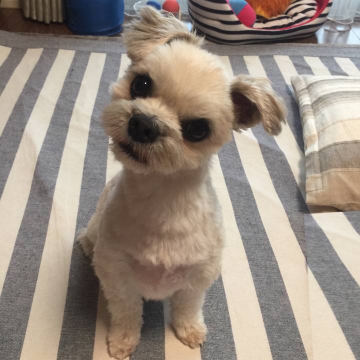 6388b8e5 f793 4f86 b5b2 ae8fac8e56b7 1534762861708