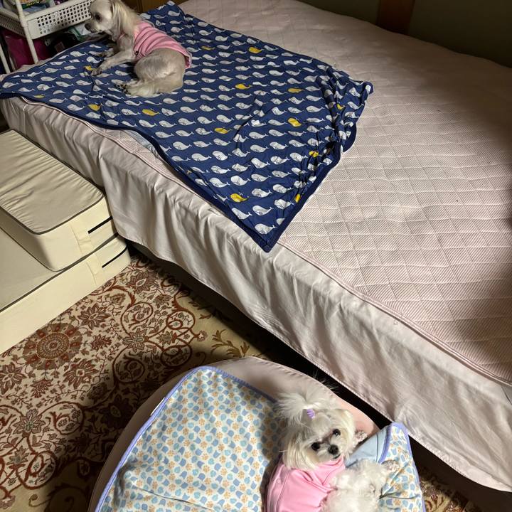 6388c8a4 9641 4b8d ae17 32488ee1deee 1755687254682