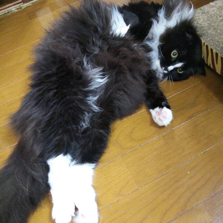 638913f0 12d1 44c6 9f71 41893587b530 1661514724439