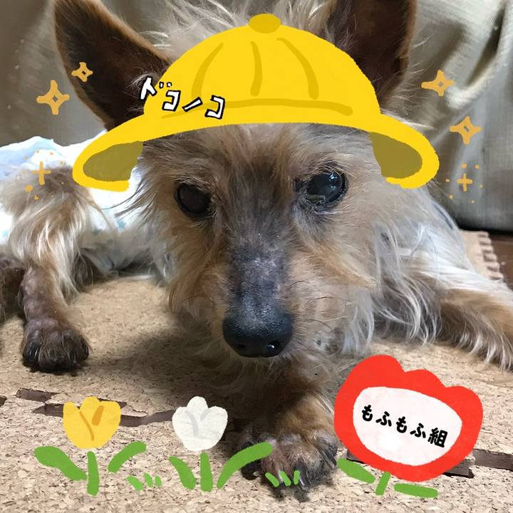 6389261e 6ac1 4718 8a9e db01781c975c 1712228110622