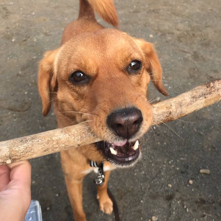 63892c2c 769d 4598 9cf2 f3e5684576e9 1545088230058