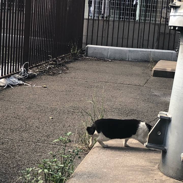 63892cb9 21fb 4601 8fe5 c64da1389cb5 1560777199340