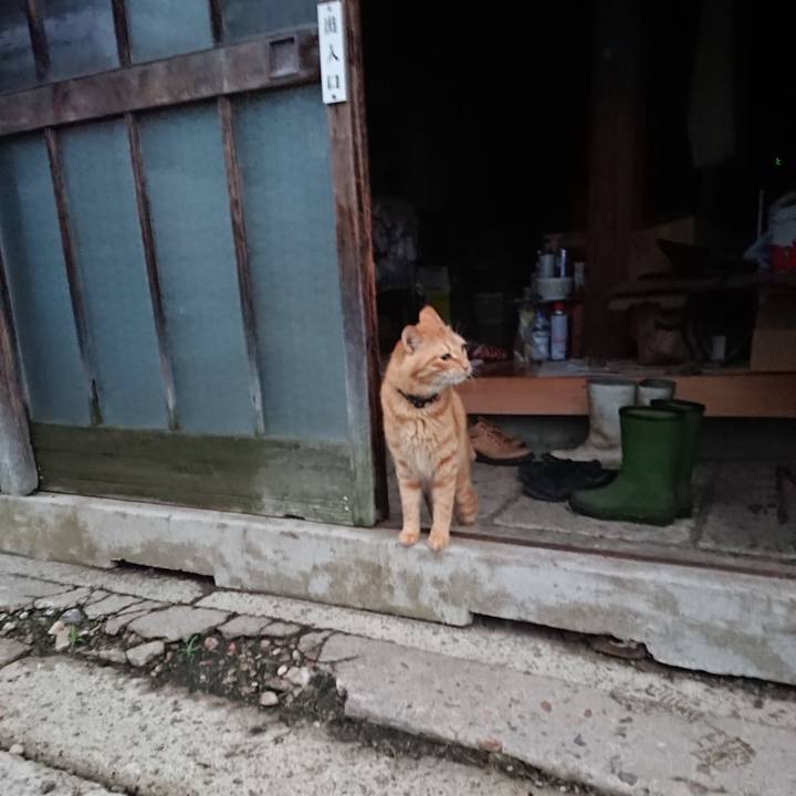 63892eb5 4439 40e2 bbb0 ae83517426b9 1661724160693