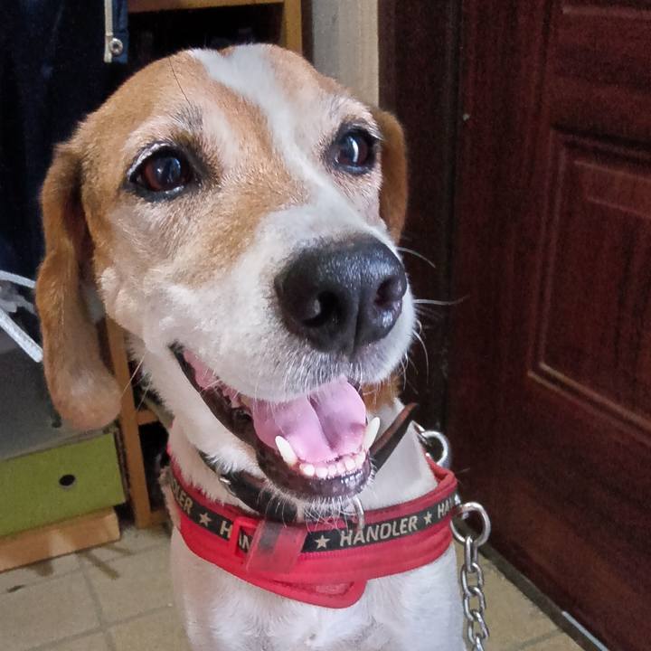 63894655 48b7 4755 b295 6b25fc835ae8 1726057813704