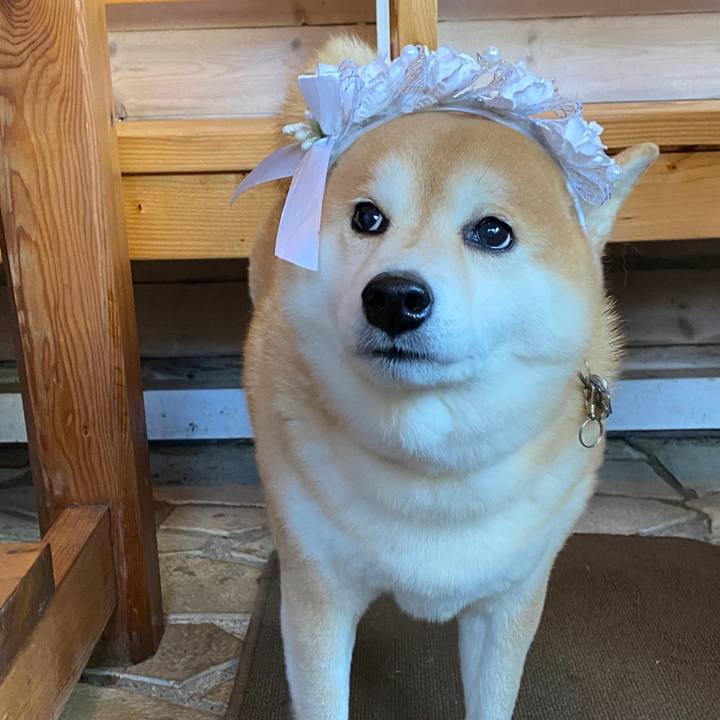 6389497a 610c 4737 afb4 452772d8c500 1605430327935