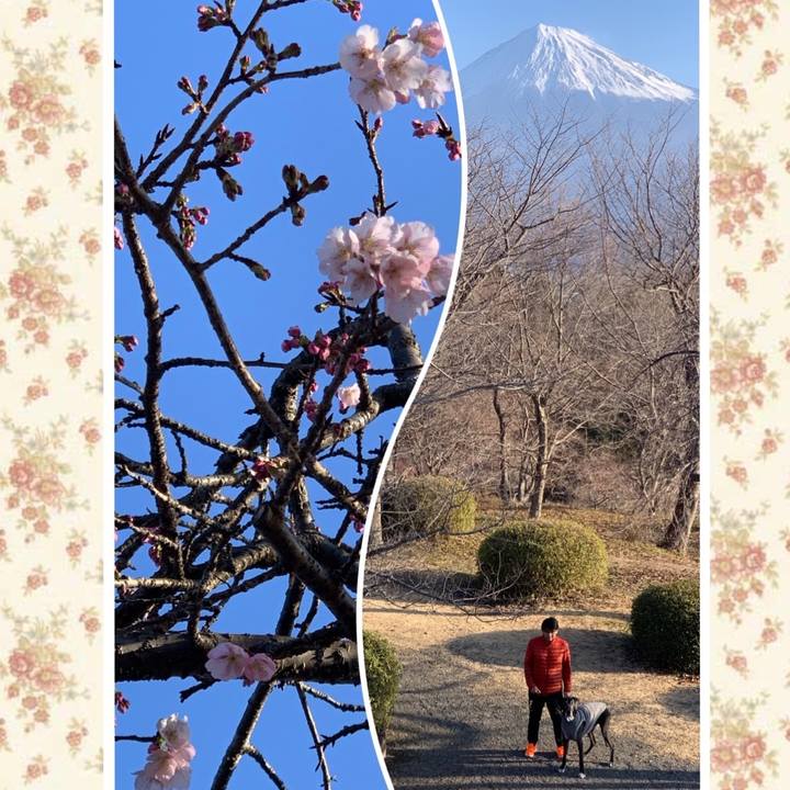 638971b4 9a83 4652 8a58 2cf8b81ace84 1582501622987