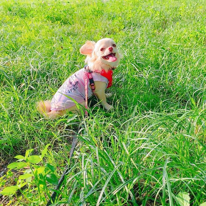 6389a8e6 7b20 49f0 a5bd 5602579adbca 1626165338373