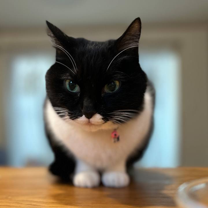 6389e7c4 719e 47e6 95c2 a10240f35e81 1737782323293