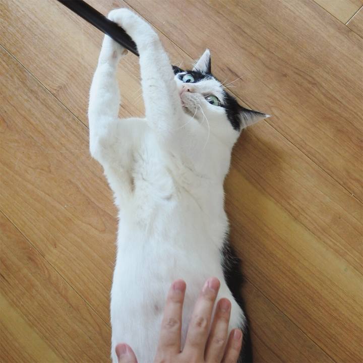 6389f5e5 55bd 4ebc b46d ed3cdff38aa0 1593480692443