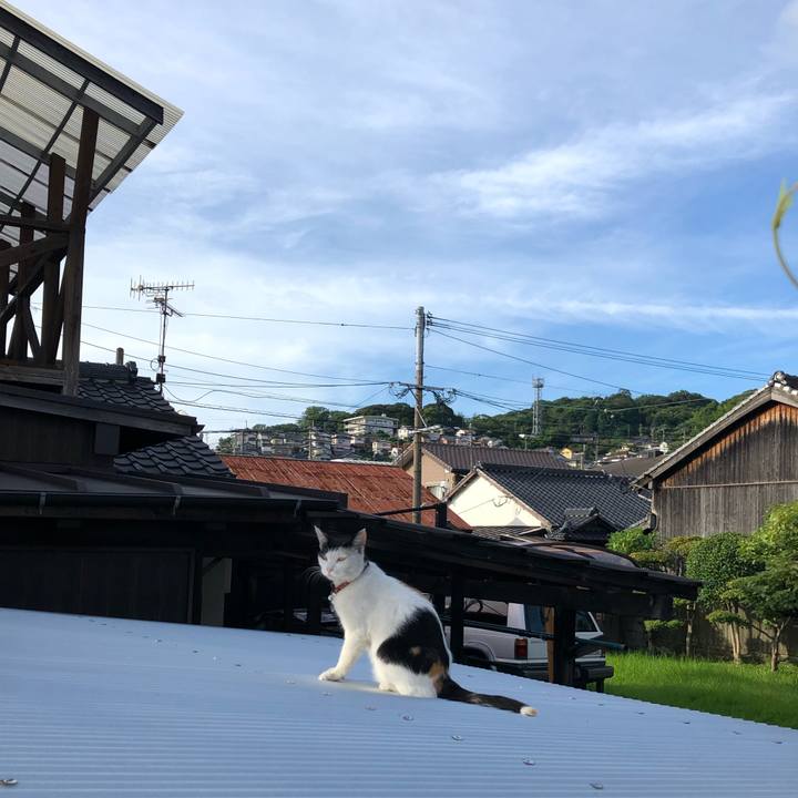 638a504d 4436 485e 91f7 1b57a8035a15 1627080853984