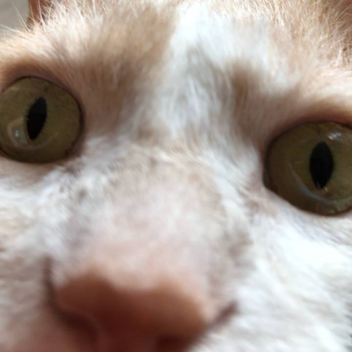 638a6f24 6ab1 4c73 8c82 0332b7dedb07 1532126555413