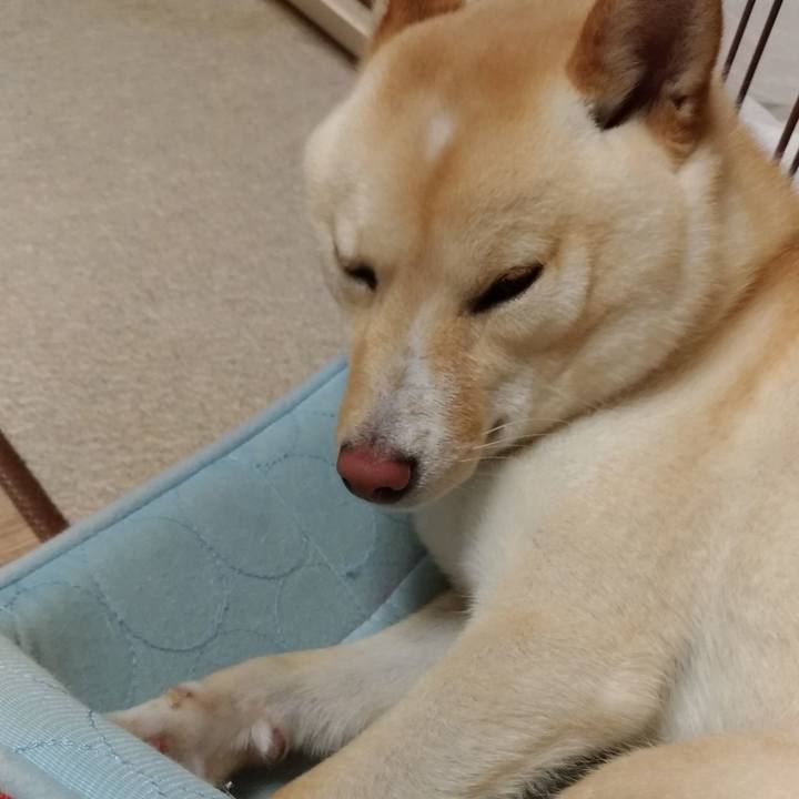 638a6fbe 613e 4e7a ad88 b9a3b58e609e 1529237377997