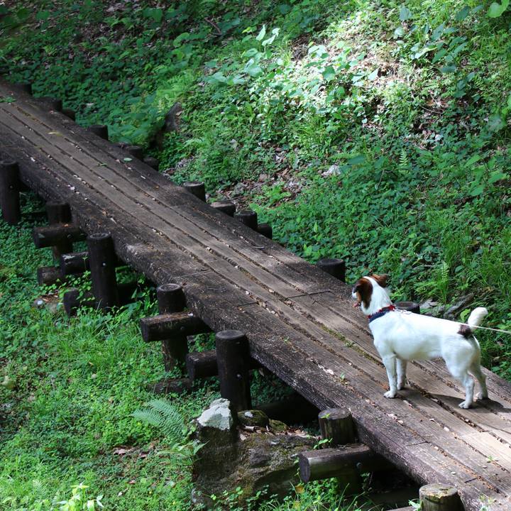 638a9b3d 0899 48d2 806f 8963766af738 1558159181788