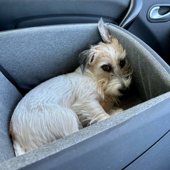 638aa449 86b9 400b b7b7 d9c01b1da233 1696596827685