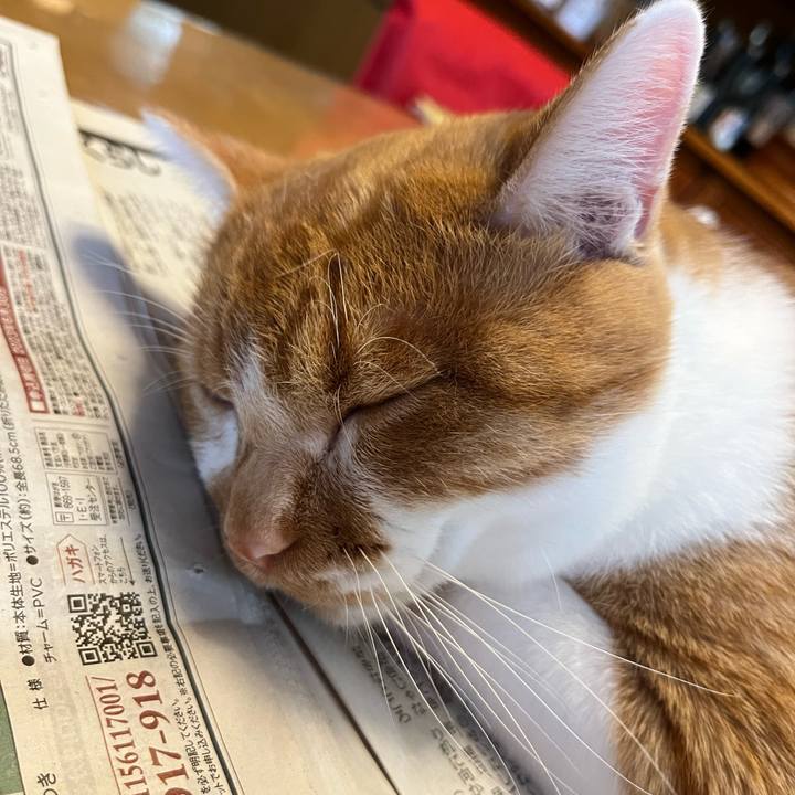 638aa6be 355a 498a 95c3 c27e43e948c4 1685746918311