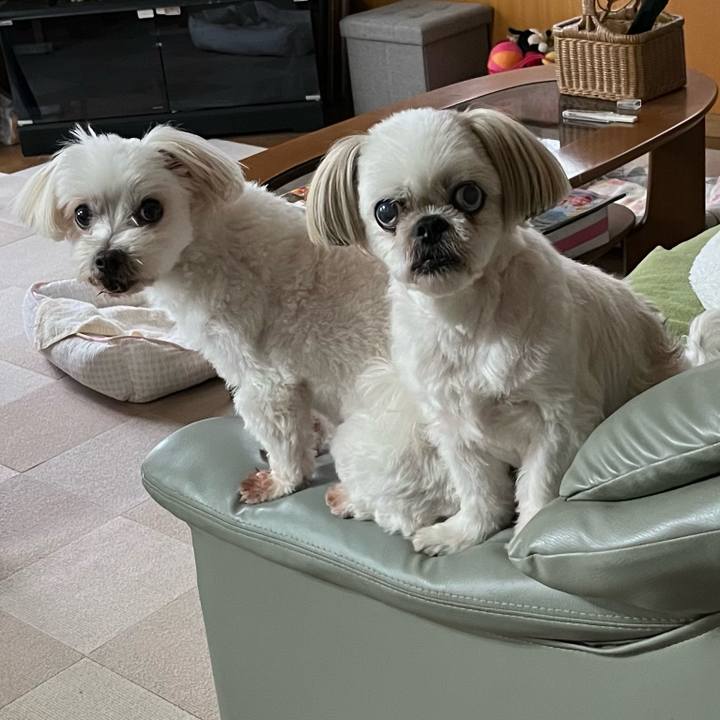 638aeced 6db9 4bbf bc44 424492dcbc76 1694258129624