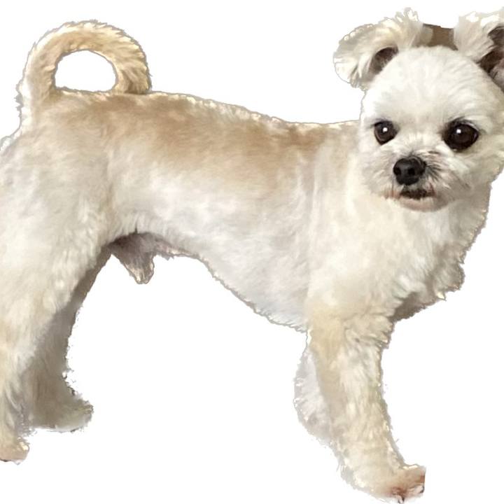 638b0277 abbf 4f02 8f82 20aad057cdfb 1684838227460