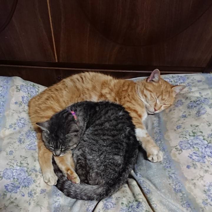 638b0cb9 06f7 4282 b65d 2a40455720d3 1581945577601