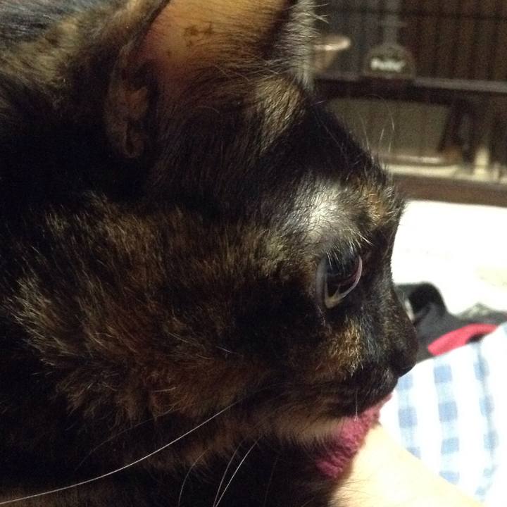 638b1429 bfa2 4333 9dfe f4c5818fc7a9 1514639600409