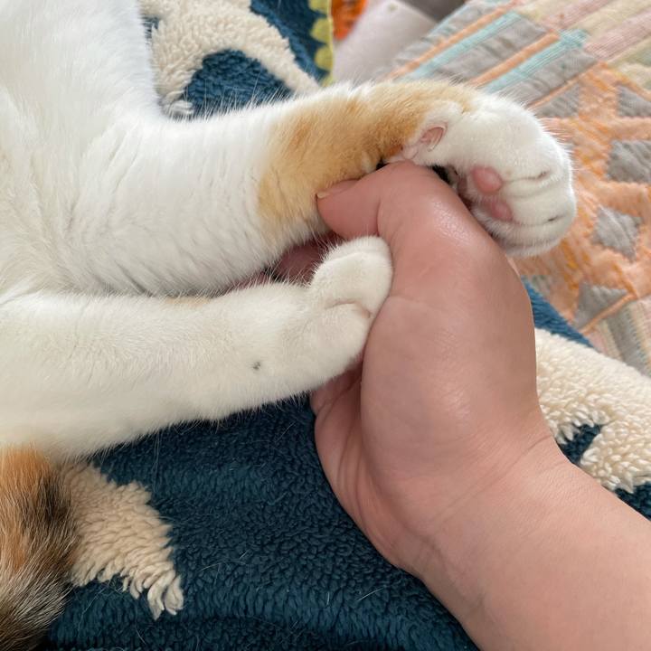 638b970b 9cb3 488b b8a9 bae60f6f90c6 1622594190904