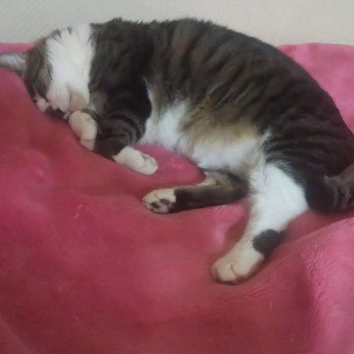 638bb8e0 f66a 465a affb 48aaa7b8da94 1725719638075