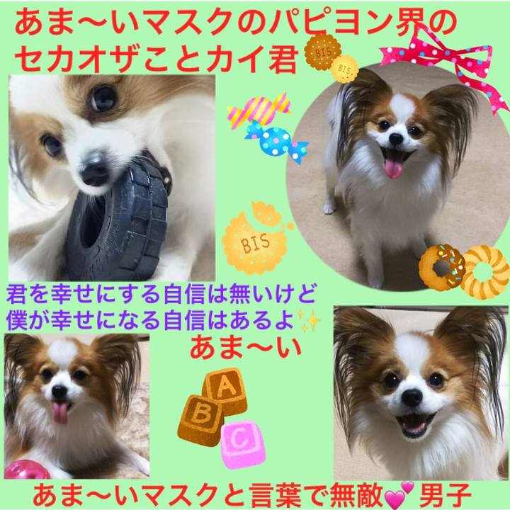 638bbbce c450 482a a7cf 553228792013 1516765780860