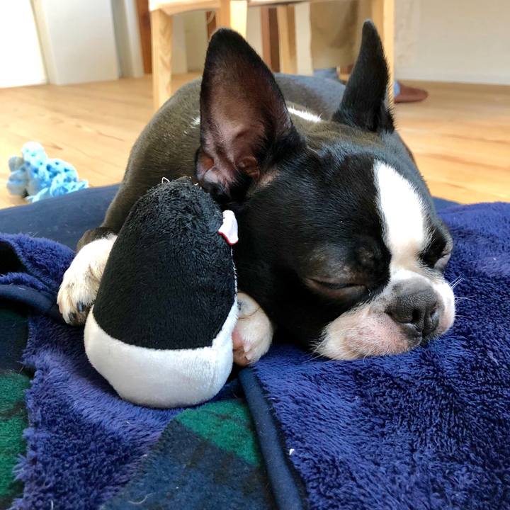 638c0a57 236b 49ee a101 3fd8df6eca9d 1514342490926