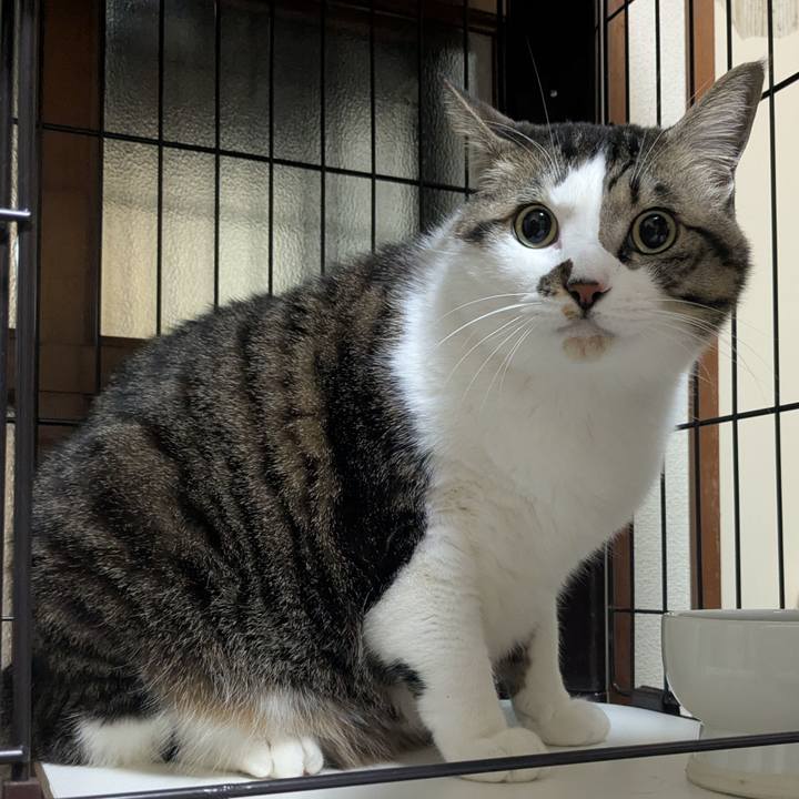 638c485e ebab 4468 bcac 2807ae78f59c 1739140763914