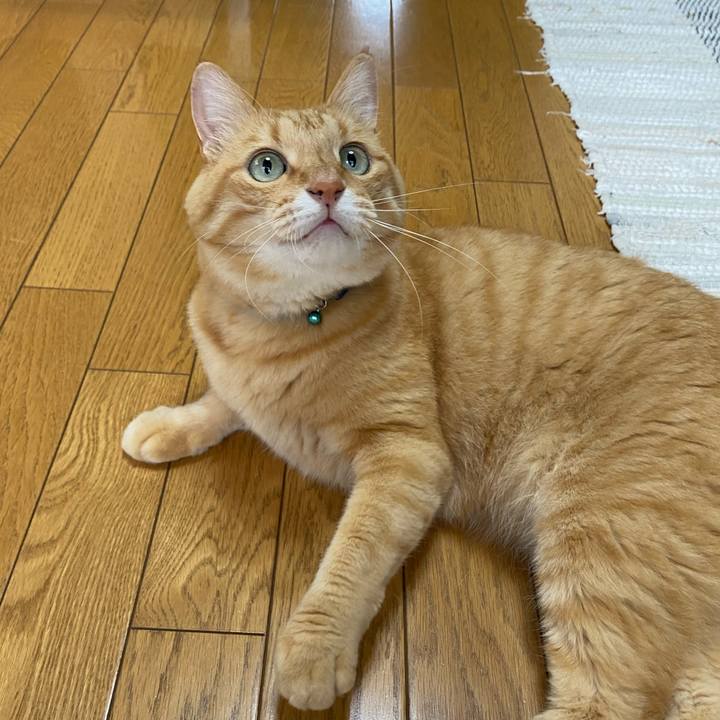 638c4a92 bc23 48a1 8188 18af860e3c81 1628725575743