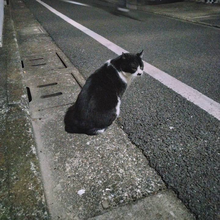 638ca454 61ad 4ff6 bce7 51f8febefa0d 1702978500842